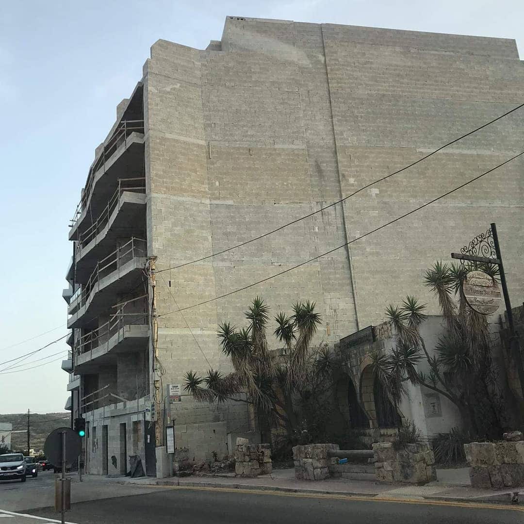 A blank building flank softened by a stray tree